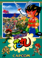 假面忍者花丸 box art