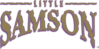 圣铃传说 logo