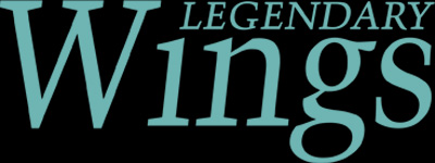 翼人 logo